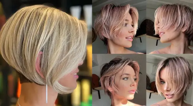 30 cortes de pelo Pixie Bob para 2024