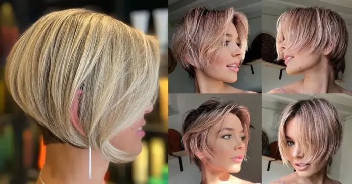 30 cortes de pelo Pixie Bob para 2024