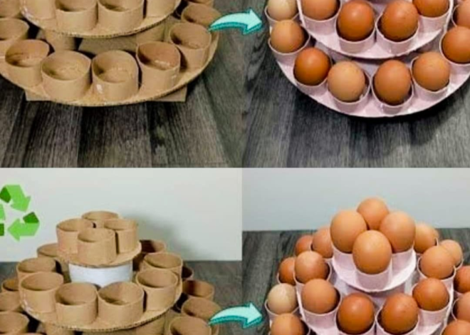 COMO HACER UNA HUEVERA Y UN PORTA HUEVOS CON ROLLOS DE PAPEL HIGIÉNICO