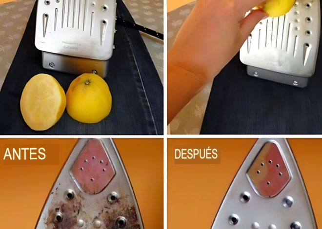  Limpieza Natural para tu Plancha de Vapor DIY: Brillo y Resplandor 