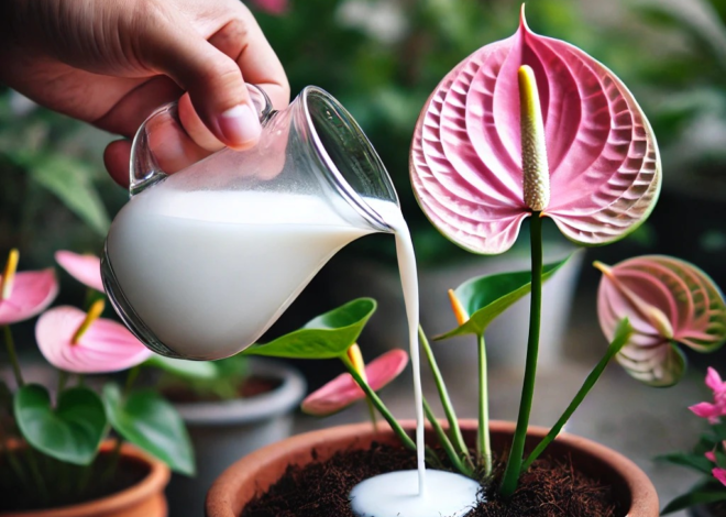 Solo 1 vaso de esto hará que crezcan muchas flores tanto en el balcón como en el jardín.