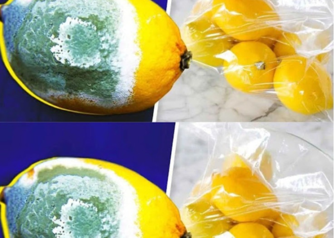 ¿Cómo conservar los limones durante más tiempo para evitar que se estropeen? 4 trucos sencillos