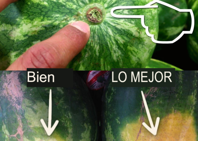 Cómo elegir una sandía dulce: guía para elegir el melón perfecto