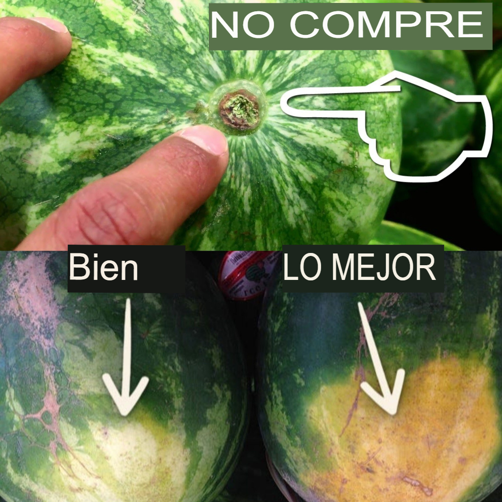 Cómo elegir una sandía dulce: guía para elegir el melón perfecto