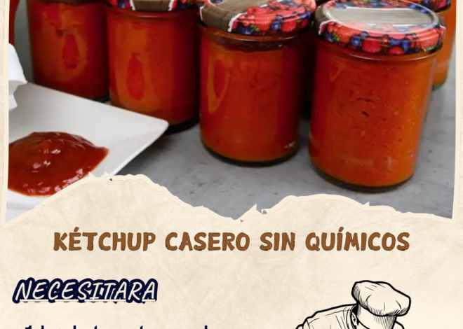  Kétchup Casero Sin Químicos 