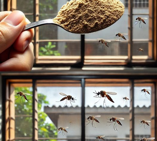 El insecticida más potente contra los mosquitos está en la cocina: los haces desaparecer sin coste alguno