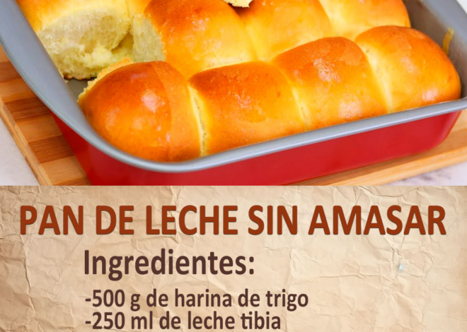 PAN DE LECHE SIN AMASAR 