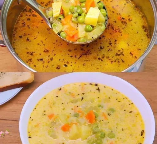 sopa de verduras