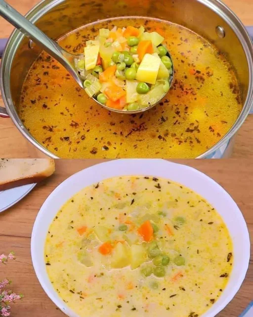 sopa de verduras