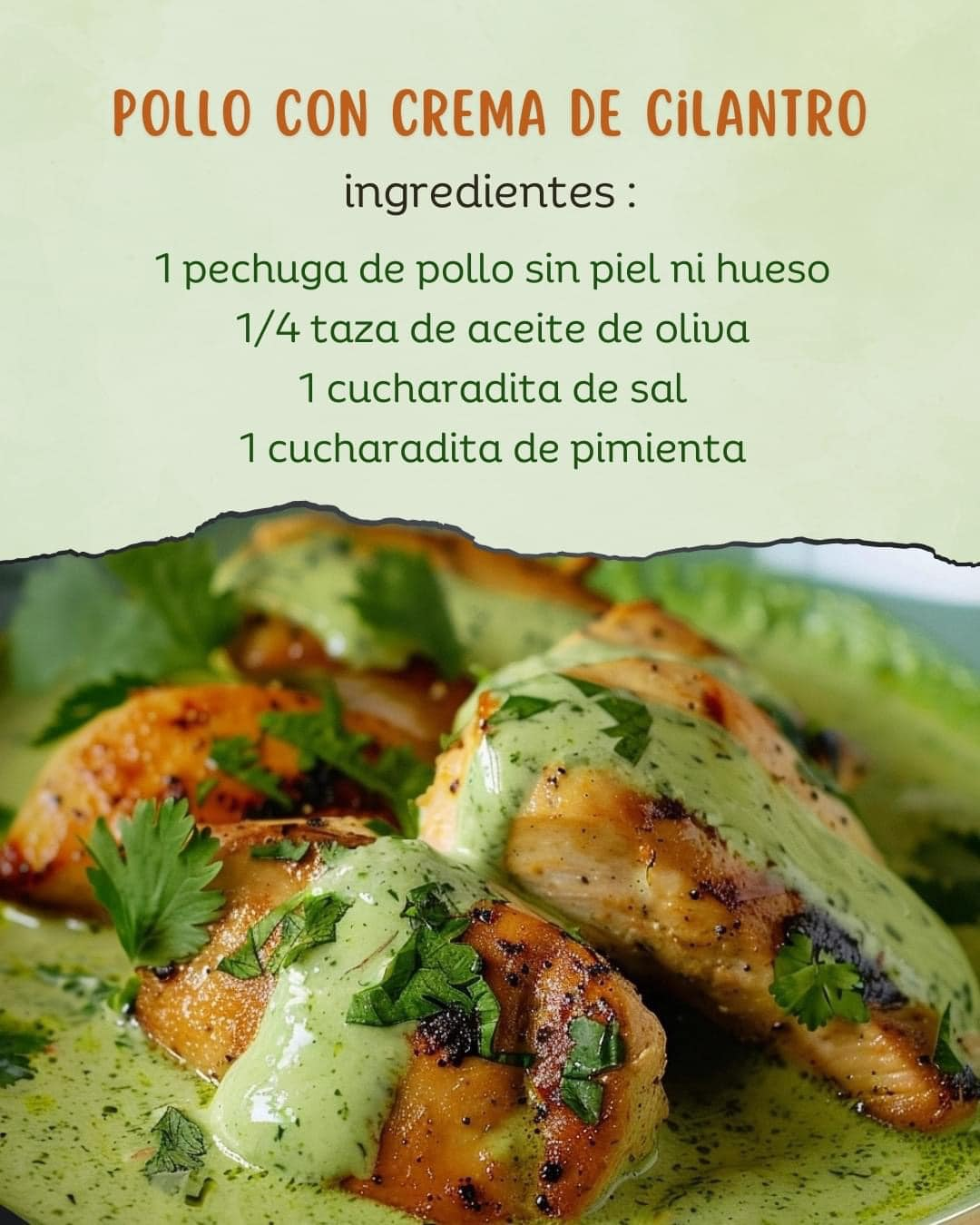  Pollo con Crema de Cilantro 