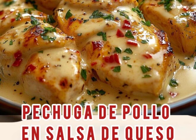 PECHUGA DE POLLO EN SALSA DE QUESO