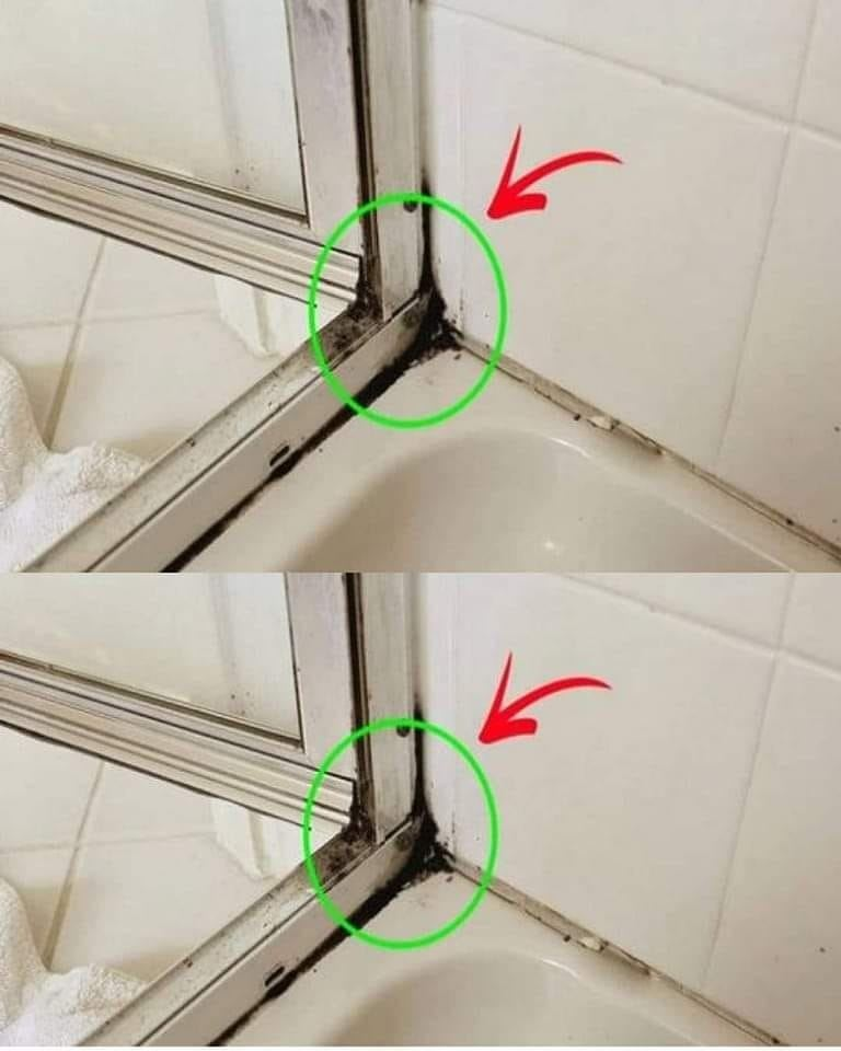 La forma más rápida de eliminar el moho de la silicona en la ducha