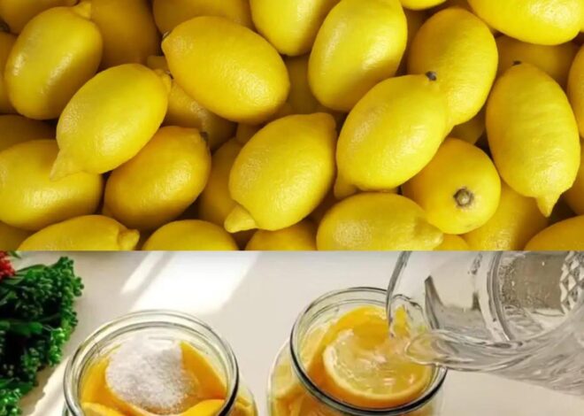 Descubre el Secreto para Conservar Limones Frescos y Deliciosos Todo el Año