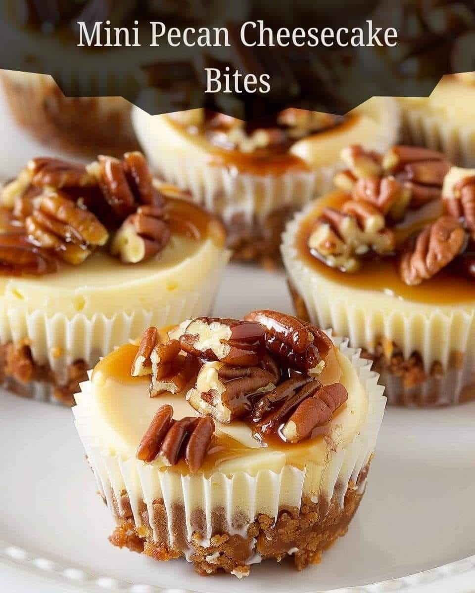 Mini bocados de tarta de queso con nueces y nueces