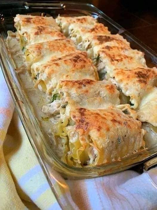 Rollos de lasaña de pollo Alfredo