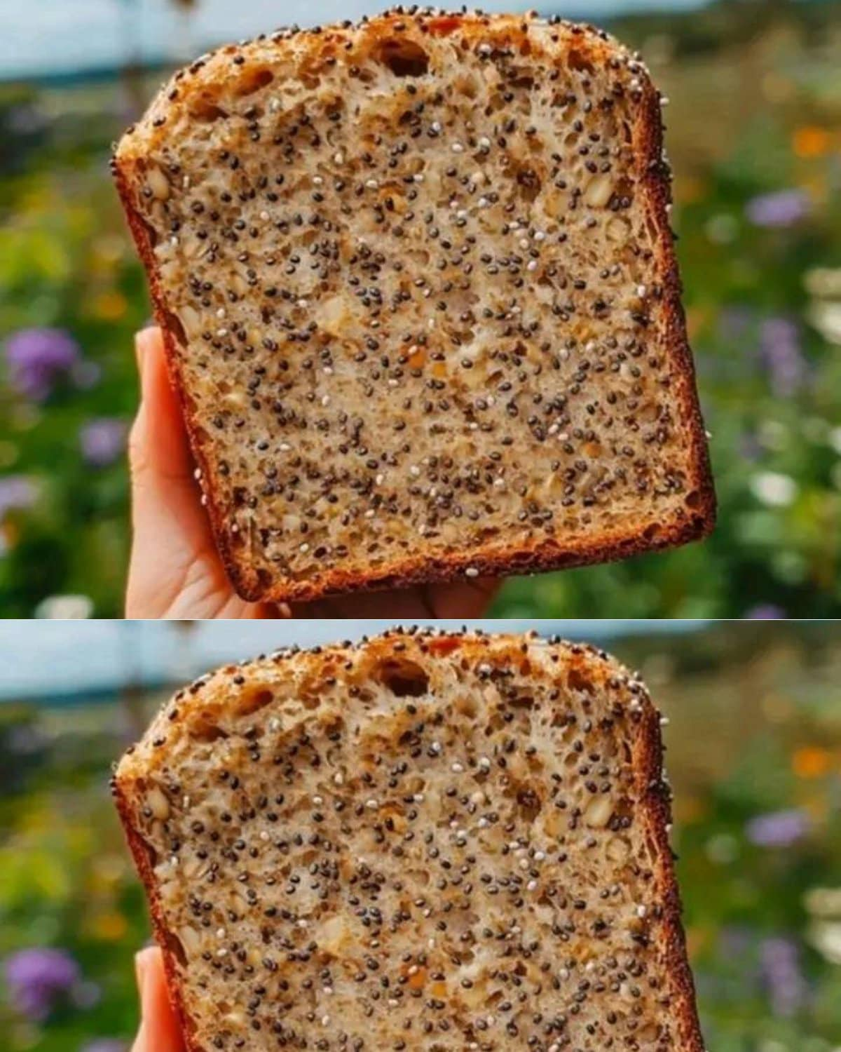 Pan de avena y chía sin harina