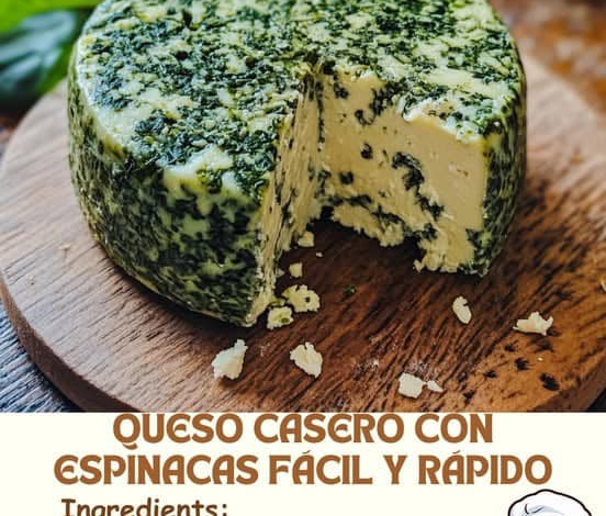 Queso Casero con Espinacas Fácil y Rápido